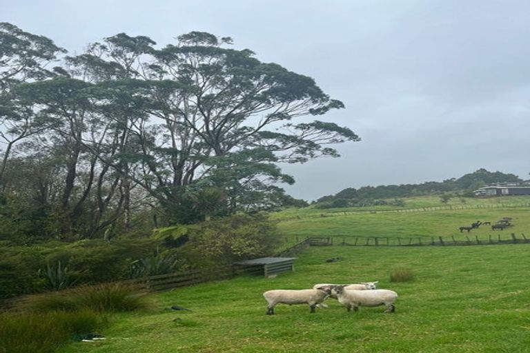 Photo of property in 53b Cemetery Road, Te Arai, Wellsford, 0975