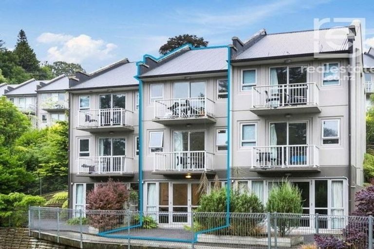 Photo of property in 73 Buccleugh Street, North East Valley, Dunedin, 9010