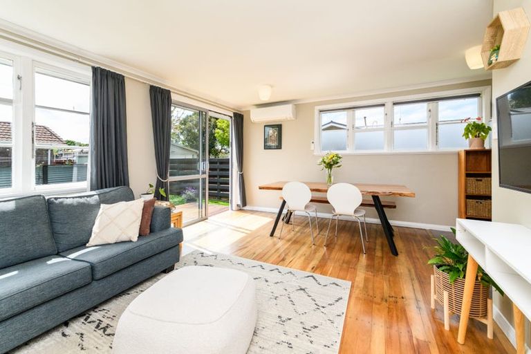 Photo of property in 5a Leicester Street, Terrace End, Palmerston North, 4410