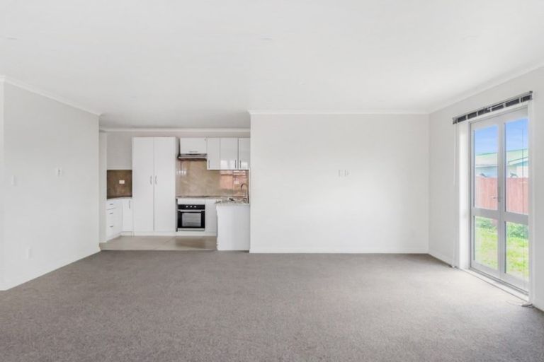 Photo of property in 91 Tiro Tiro Road, Levin, 5510