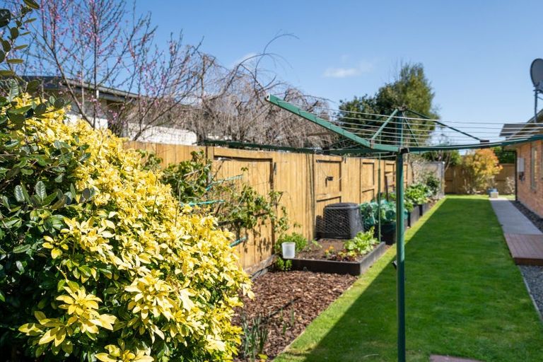 Photo of property in 81 Swayne Road, Cambridge, 3434