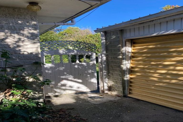 Photo of property in 46b Copeland Street, Hutt Central, Lower Hutt, 5011