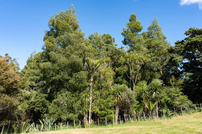 Photo of property in 149 Whaka Street, Maungaturoto, 0583