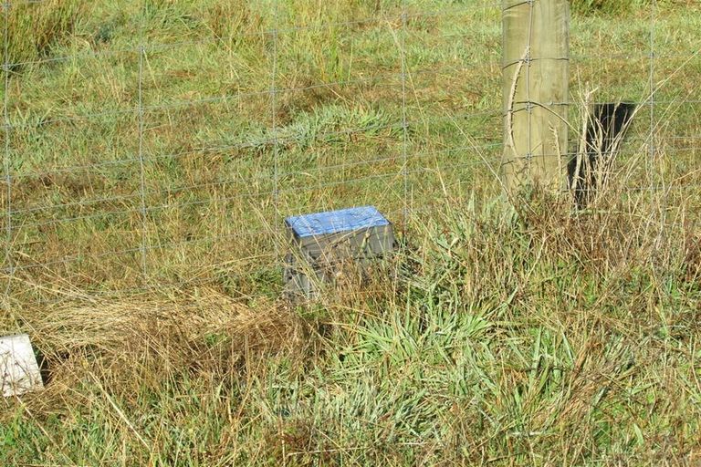 Photo of property in 50 Clifford Street, Blackball, 7804