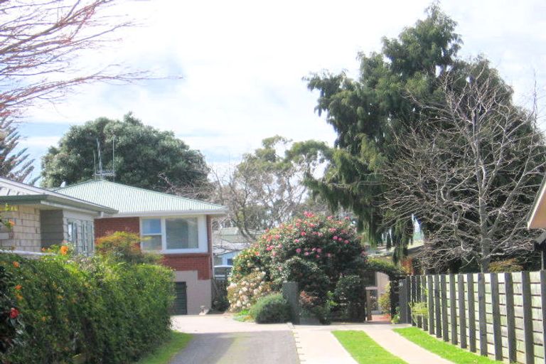 Photo of property in 36a Upland Street, Brookfield, Tauranga, 3110