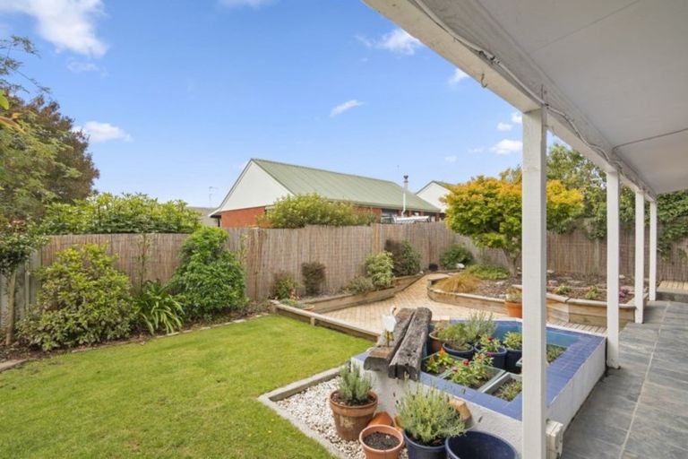 Photo of property in 8a Regent Place, Witherlea, Blenheim, 7201