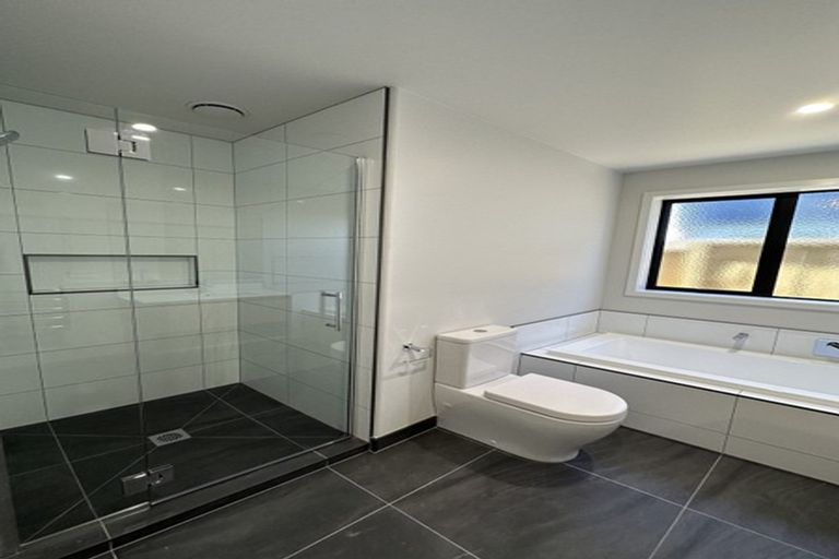 Photo of property in 51 Probert Crescent, Chartwell, Hamilton, 3210