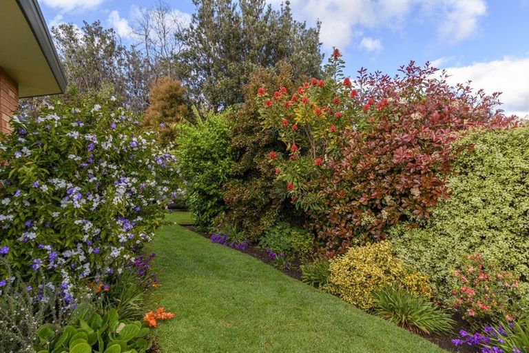 Photo of property in 1 Links View Drive, Omokoroa, 3114