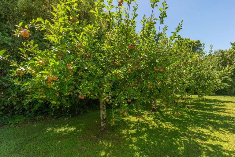 Photo of property in 49 Vista Road, Ohau, Levin, 5570