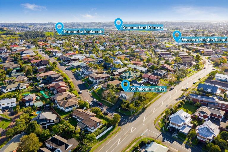 Photo of property in 39 Palomino Drive, Henderson, Auckland, 0612