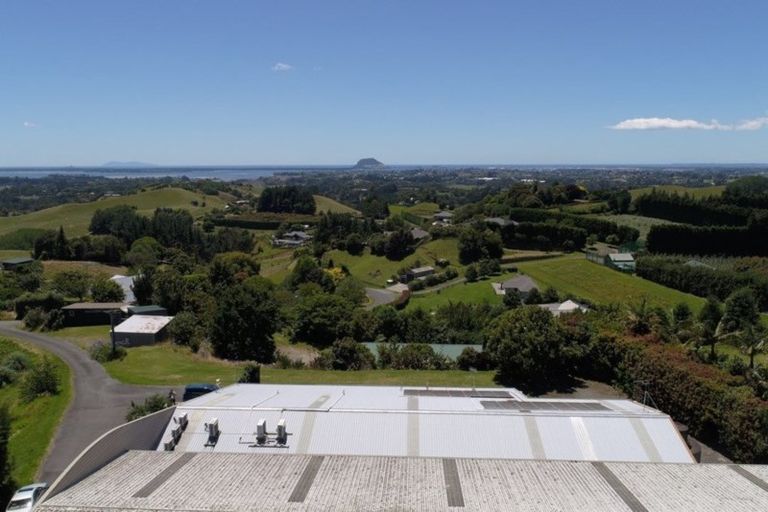 Photo of property in 229e Crawford Road, Minden, Tauranga, 3171