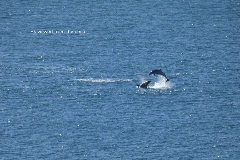 Photo of property in 35 Rothesay Bay Road, Rothesay Bay, Auckland, 0630