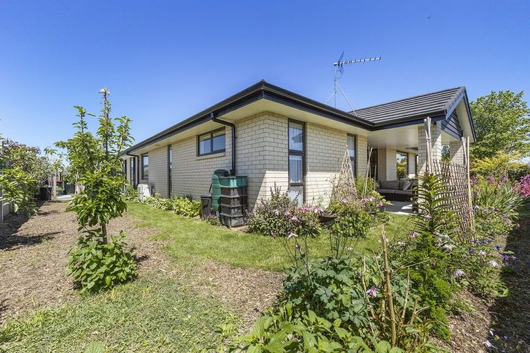 Photo of property in 21 Richardson Road, Matamata, 3400