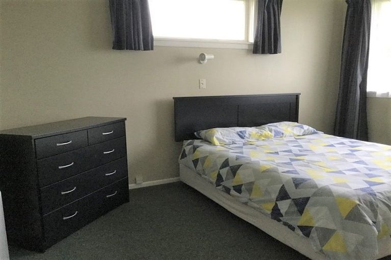 Photo of property in 16 Graham Street, Levin, 5510