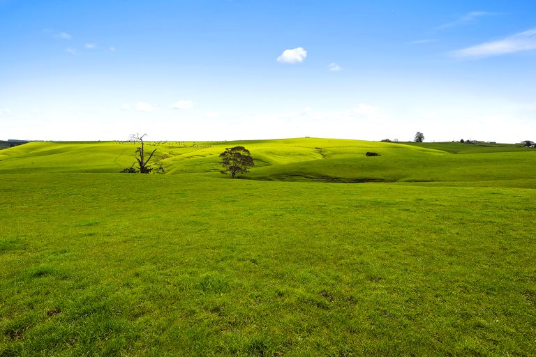 Photo of property in 191 Whangamarino Road, Whangamarino, Te Kauwhata, 3782