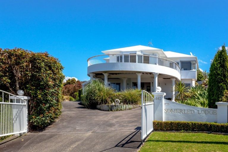 Photo of property in 442 Onemana Drive, Onemana, Whangamata, 3691