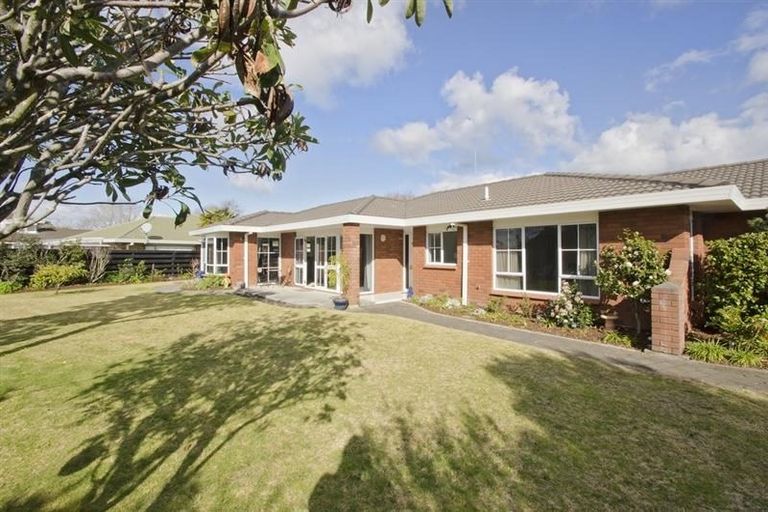 Photo of property in 195 Grenada Street, Mount Maunganui, 3116