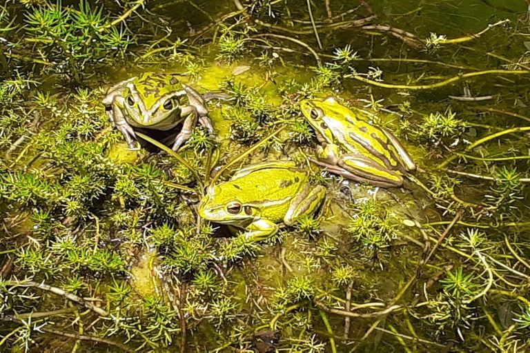 Photo of property in 41 Melville Drive, Whakatane, 3120