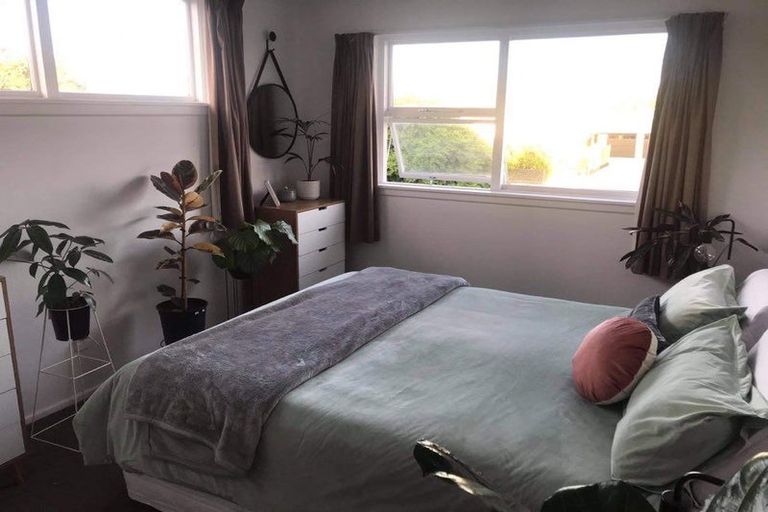 Photo of property in 111 Packe Street, Edgeware, Christchurch, 8013