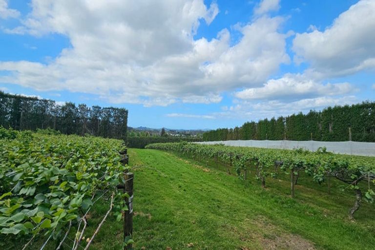 Photo of property in 387 Kerikeri Road, Kerikeri, 0230