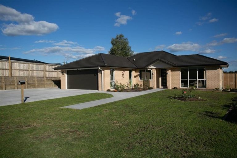 Photo of property in 15 Neal Street, Putaruru, 3411