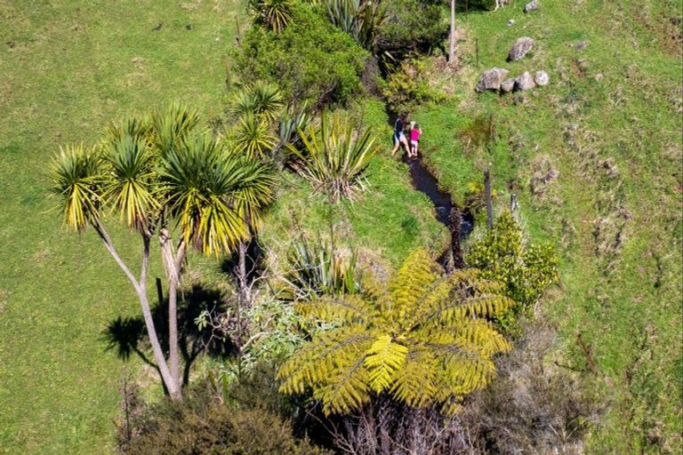 Photo of property in 459 Wainui Road, Raglan, 3297