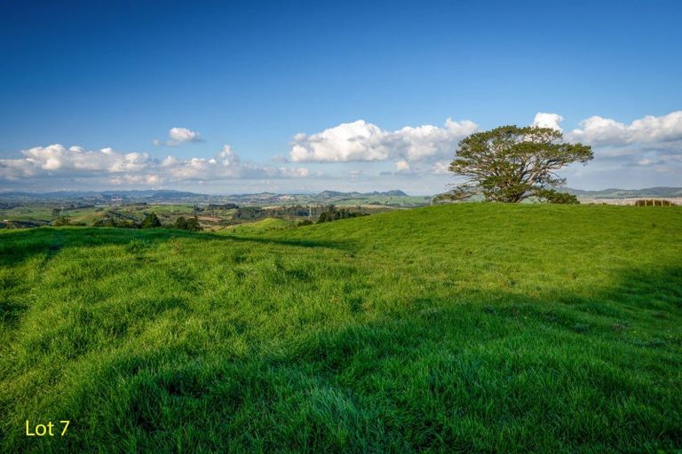 Photo of property in 300 Mcdonald Mine Road, Waikokowai, Huntly, 3771