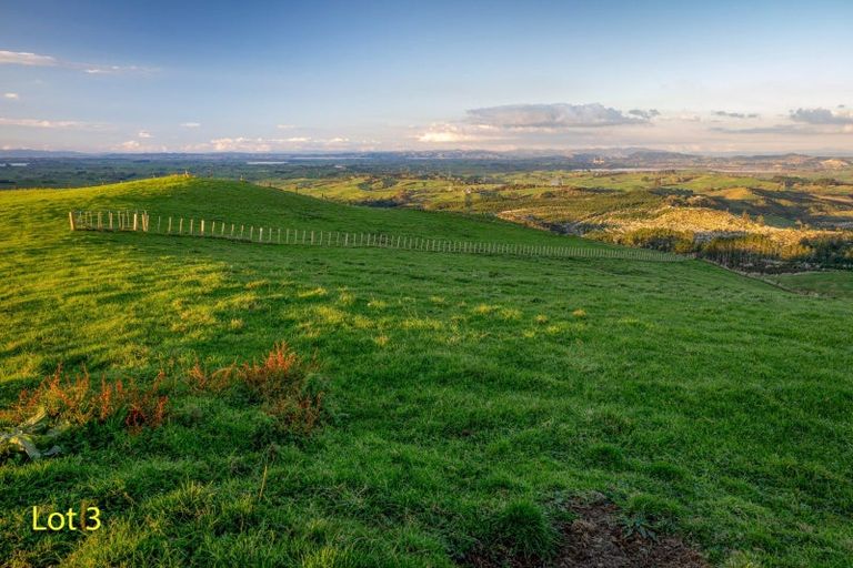 Photo of property in 300 Mcdonald Mine Road, Waikokowai, Huntly, 3771