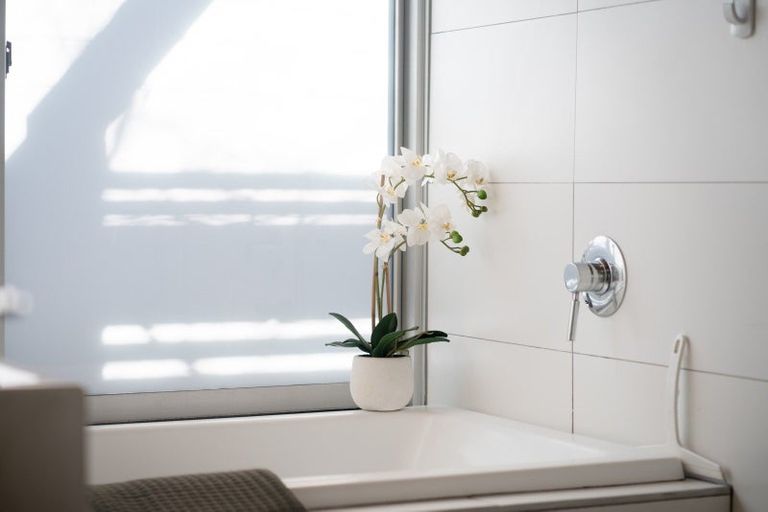 Photo of property in 1b Manley Terrace, Newtown, Wellington, 6021