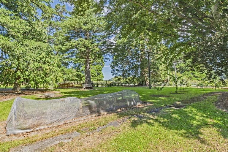 Photo of property in 428 Kowai Road, Springfield, 7681