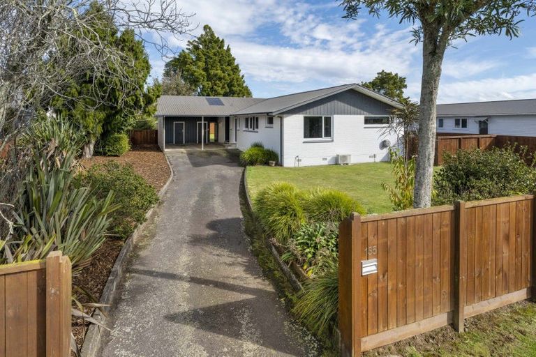 Photo of property in 135 Brecon Road, Stratford, 4332