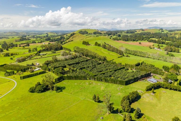 Photo of property in 168 Hariru Road, Ohaeawai, Kaikohe, 0472