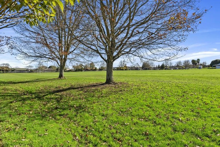 Photo of property in 12 Gallery Grove, Flagstaff, Hamilton, 3210