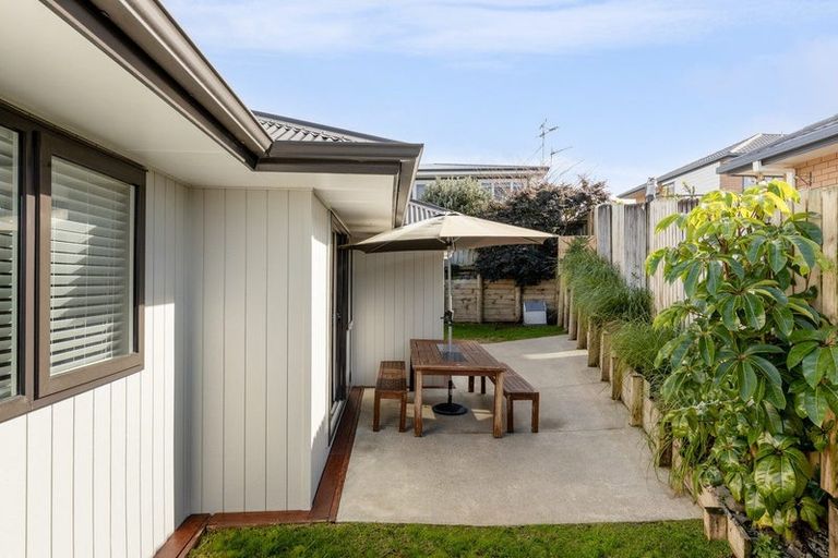 Photo of property in 20a Lincoln Terrace, Gate Pa, Tauranga, 3112