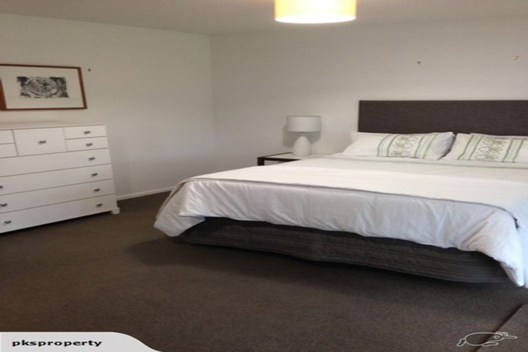 Photo of property in 53a Opawa Road, Waltham, Christchurch, 8023