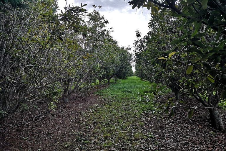 Photo of property in 64 De Boer Lane, Mangawhai, Kaiwaka, 0573