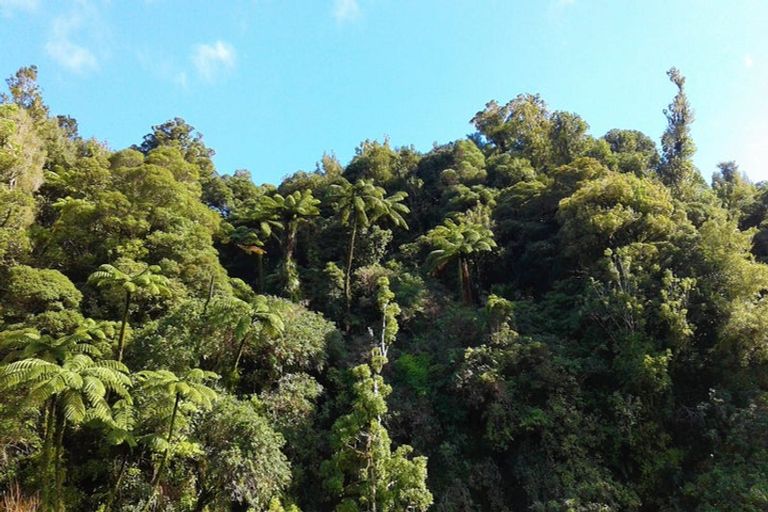 Photo of property in 1216 Wekaweka Road, Waimamaku, Kaikohe, 0473