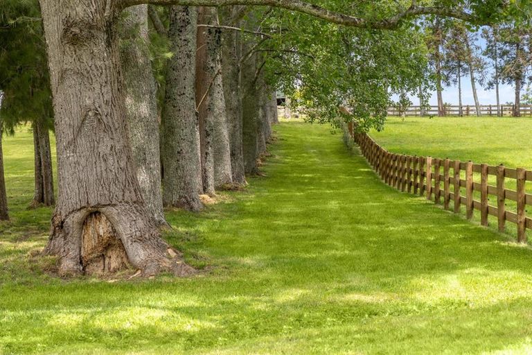 Photo of property in 713 Ararimu Valley Road, Helensville, 0882