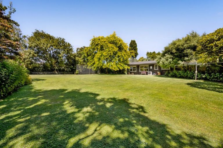 Photo of property in 42a Regan Street, Stratford, 4332