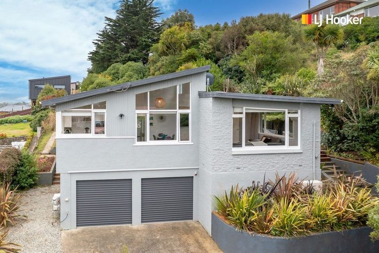 Photo of property in 25 Chisholm Place, Tainui, Dunedin, 9013