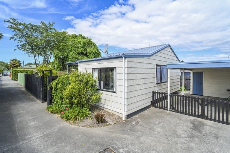 Photo of property in 205 Pattison Road, Akina, Hastings, 4122