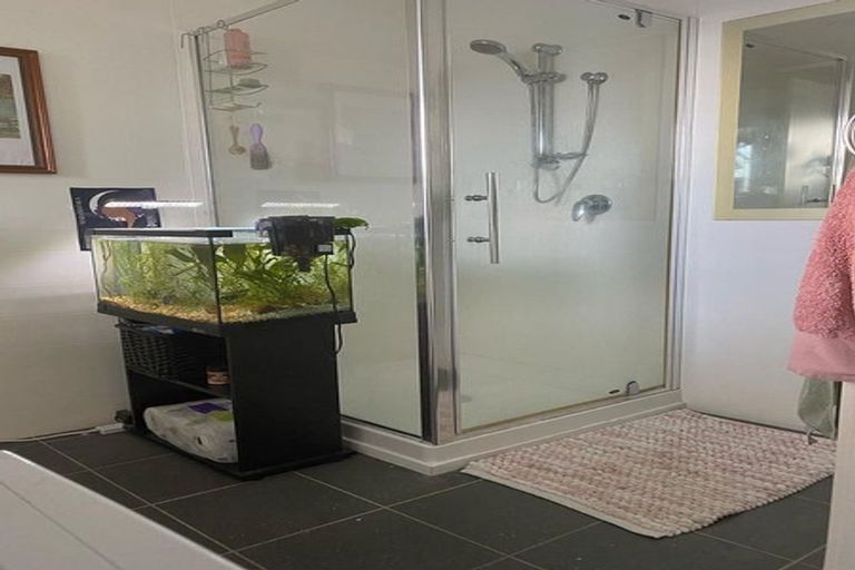 Photo of property in 15 Piako Road, Claudelands, Hamilton, 3214