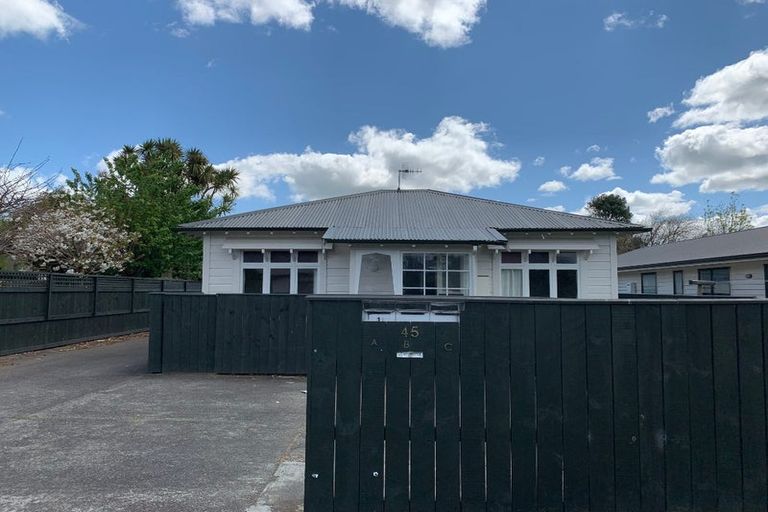 Photo of property in 3/45 Manson Street, Terrace End, Palmerston North, 4410