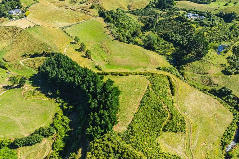 Photo of property in 38a Atkinson Road, Ridgewood, New Plymouth, 4371