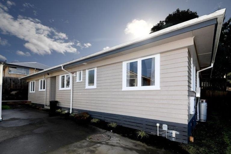 Photo of property in 22a Hinau Street, Maeroa, Hamilton, 3200