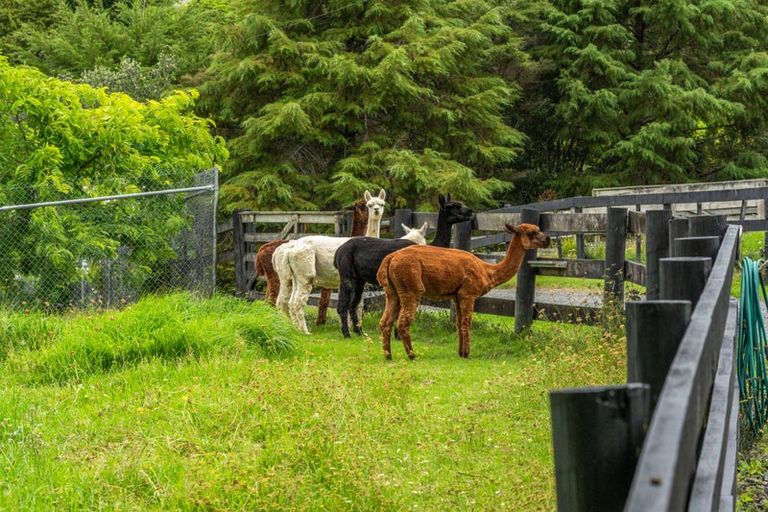 Photo of property in 253 Whitford Road, Shamrock Park, Howick, 2571