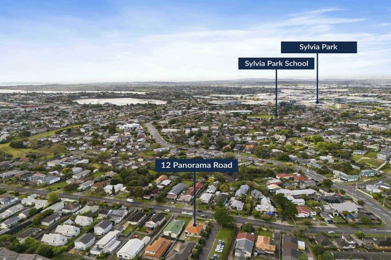 Photo of property in 12 Panorama Road, Mount Wellington, Auckland, 1060
