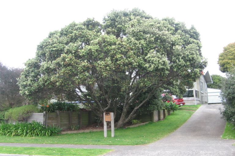 Photo of property in 144 Valley Road, Mount Maunganui, 3116
