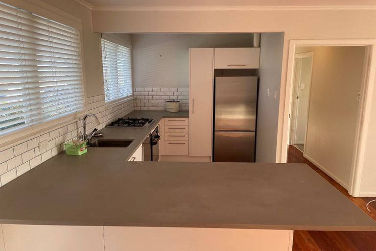 Photo of property in 1/13a Frost Road, Mount Roskill, Auckland, 1041