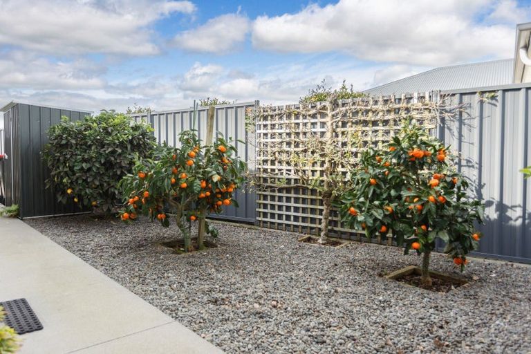 Photo of property in 17 Maple Place, Matamata, 3400